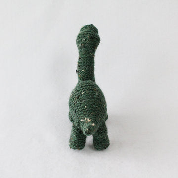 Dinosaur Kid