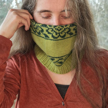 Springtime Cowl
