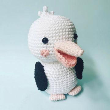 Saffron the Pelican