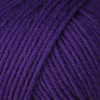 Clematis (00248)