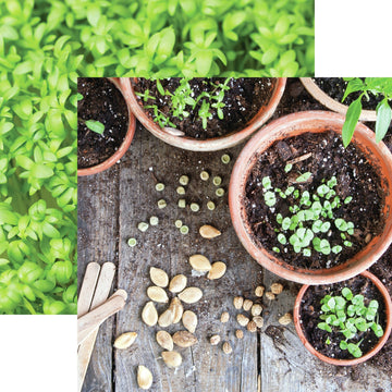 Reminisce Growing Garden Double-Sided Cardstock 12"X12" 25/Pkg - Sowing Seeds