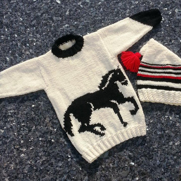 Horse Jumper and Hat