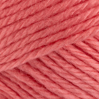 Salmon Rose (161)