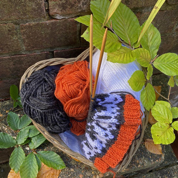 Halloween Moth and Bat Hat