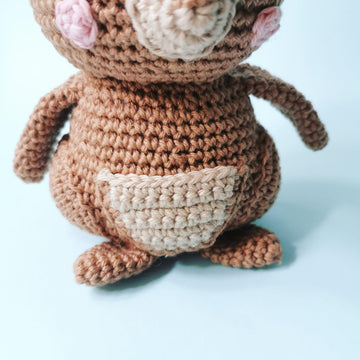 Cocoa the Roo