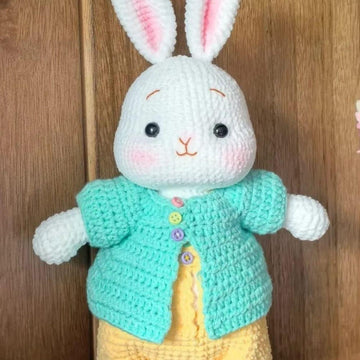Outfit for Easter Bunny Crochet Pattern