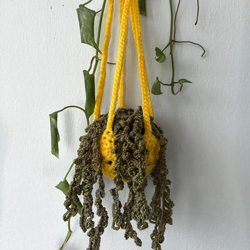 Hanging happiness plant
