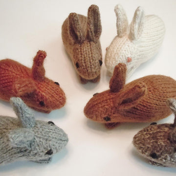 Henry's Bunny