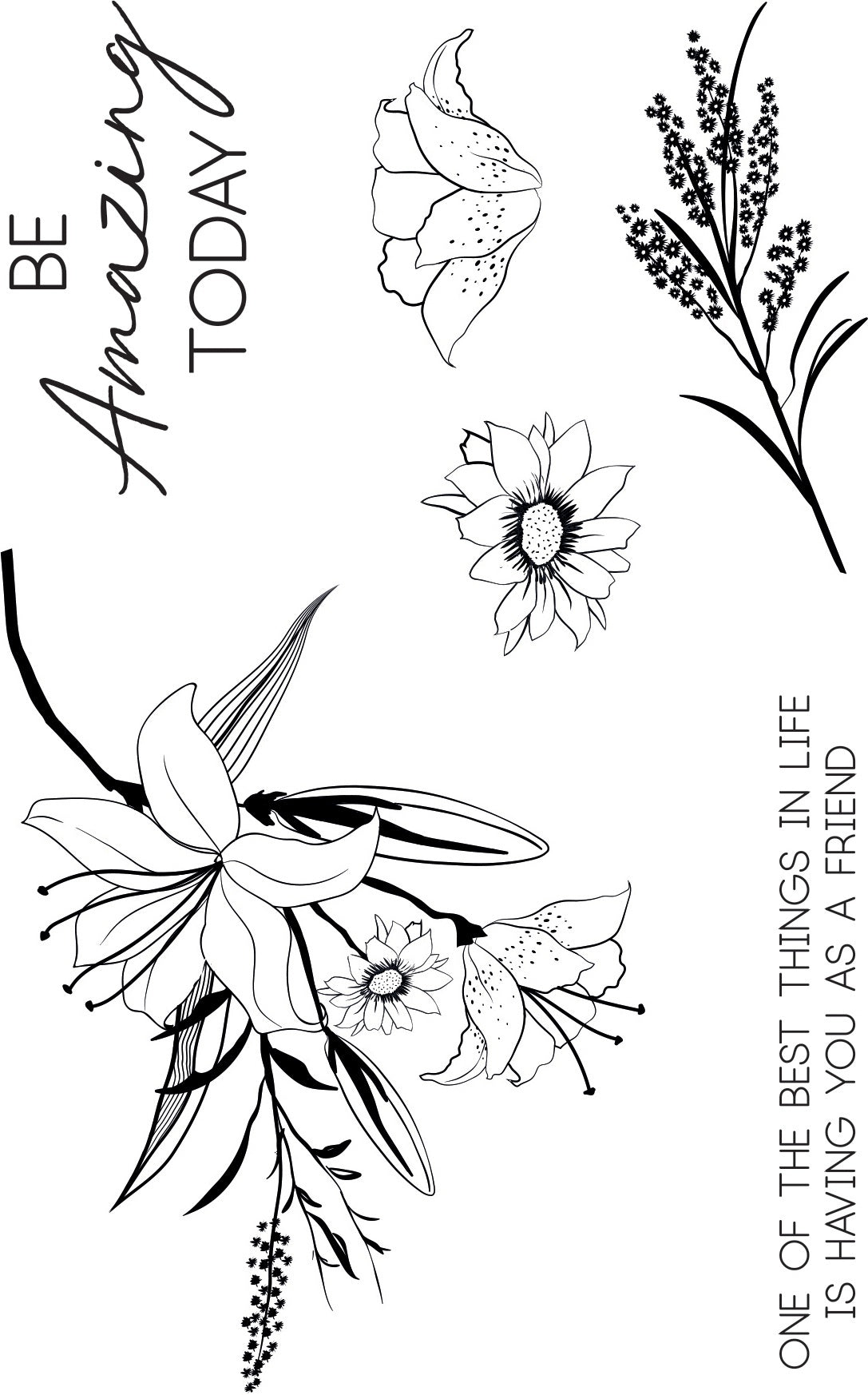 Kaisercraft Clear Stamp 6"X4" - Lily & Moss