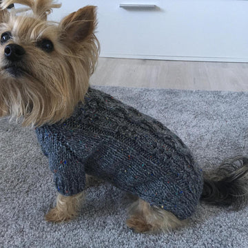 Slate Dog Sweater