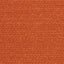 Pumpkin (WD24)