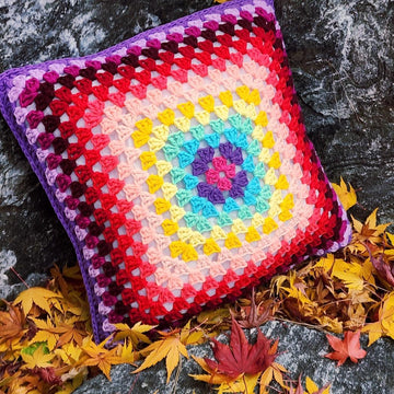 Summer Fun Granny Cushion