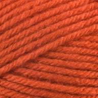 Pumpkin (142)
