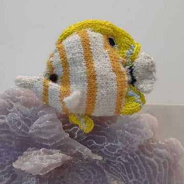 Indo-Pacific reef fish