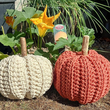Chunky Pumpkin