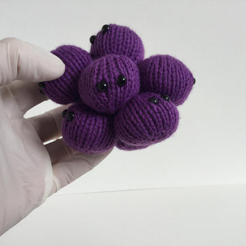 Staphylococcus Cluster