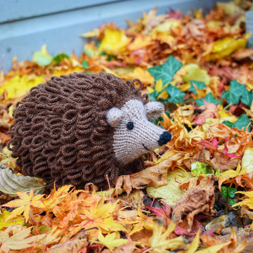 Hector the Hedgehog
