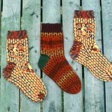 Bicycle Socks 312