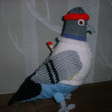 Boris the Tennis Pigeon