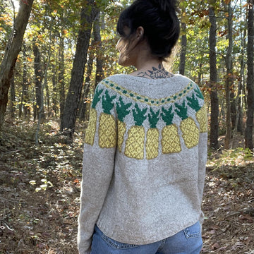 Pineapples Pullover