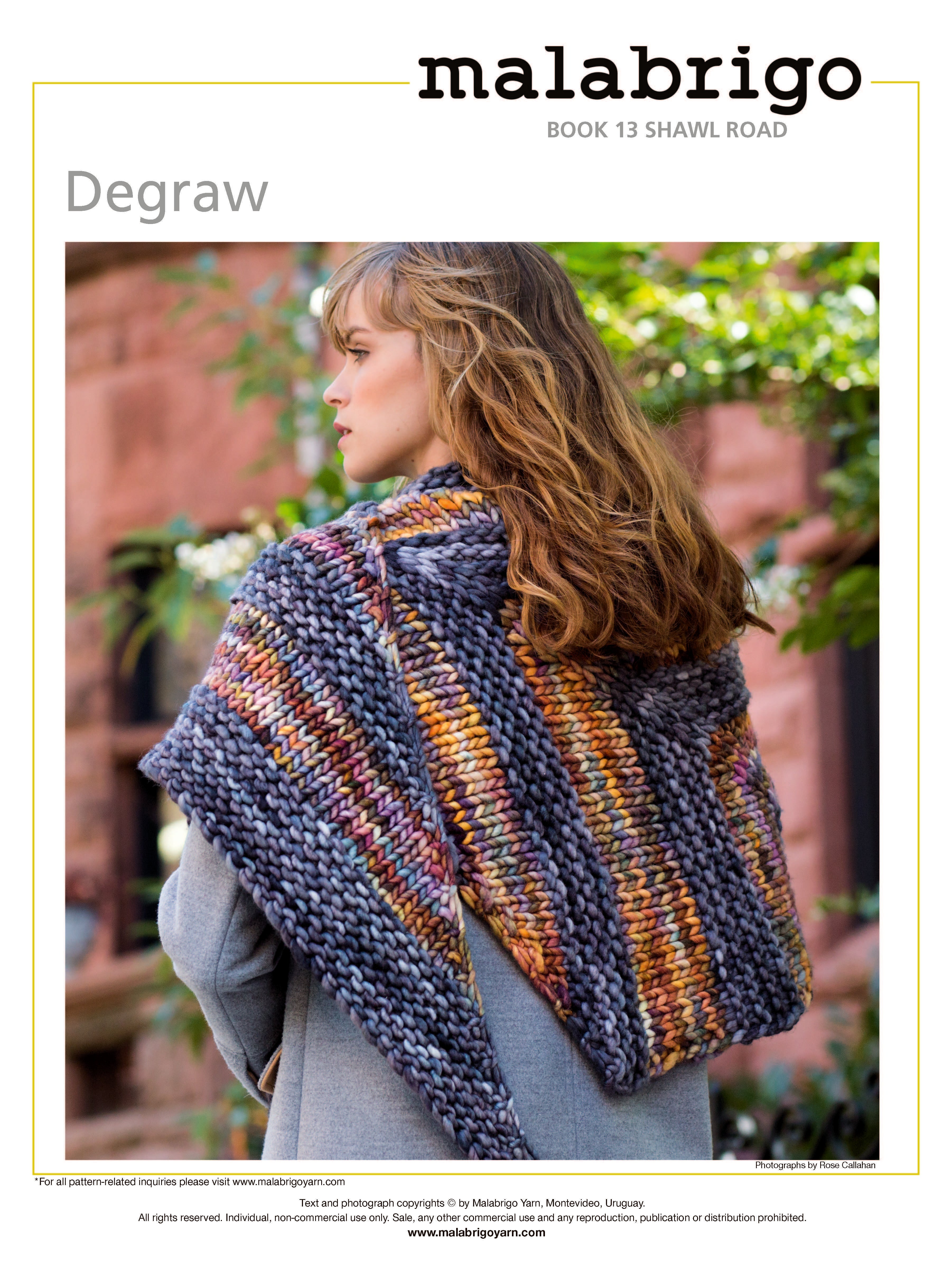 Degraw Shawl in Malabrigo Rasta - Downloadable PDF