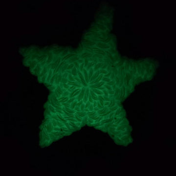 Coraline Star Sweater Inspired Sweater Pattern
