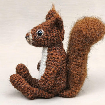 Floro the red squirrel