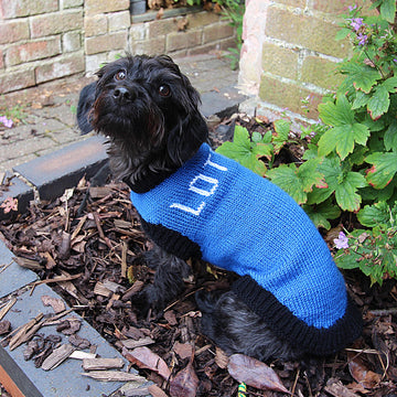 Designer Dog Coat and Cat Coat