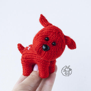 Tiny puppy