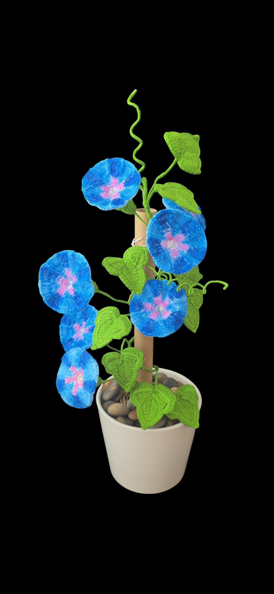 Crochet Morning Glory flowers pattern