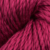 Raspberry (637)