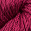 Raspberry (637)