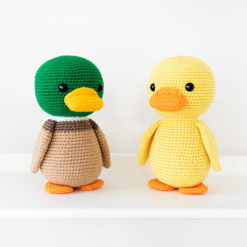 Phoenix the Lovely Duck