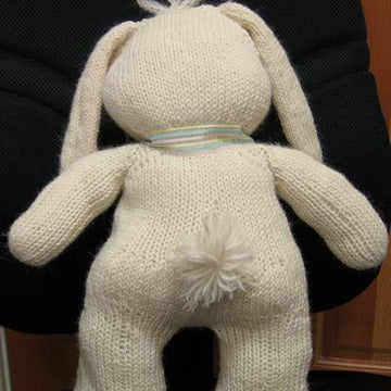 Fun Funny Bunny