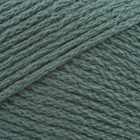 Teal (2744)