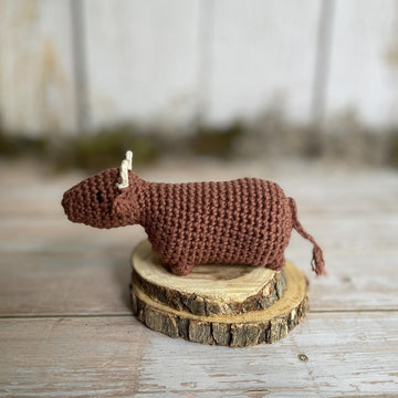 Christmas Nativity Set