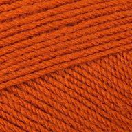 Orangutan (3381)