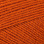 Orangutan (3381)