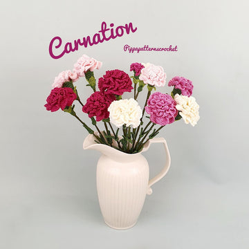 Carnation