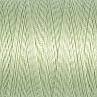 Light Fern Green (818)
