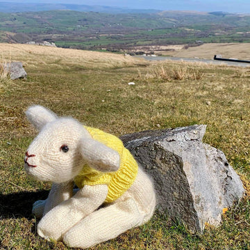 Lamb