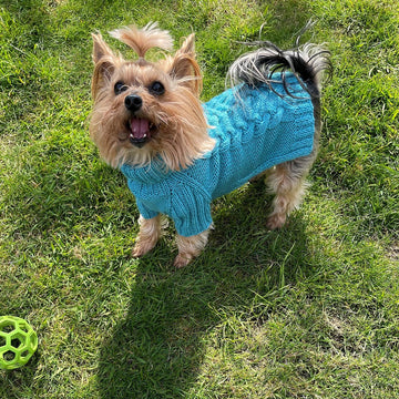 Aqua Dog or Cat Sweater