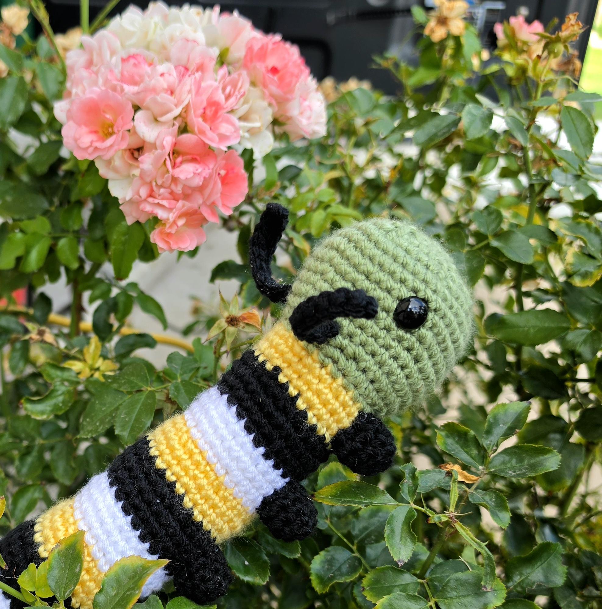 Wally the Wandering Caterpillar