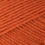 Cinnamon (3298)