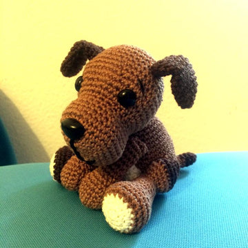 Sitting puppy