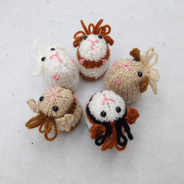 Guinea Pig Creme Egg Cosy