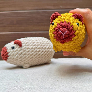 Chubby Guinea Pig