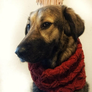 Wellington Cowl