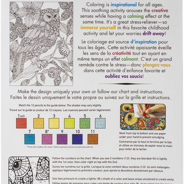 Dimensions Pencil Works Color By Number Kit 9"X12" - Flowering Owl