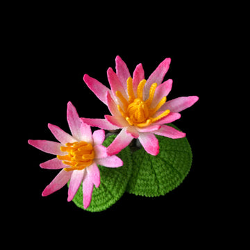 Crochet Water lily flowers pattern
